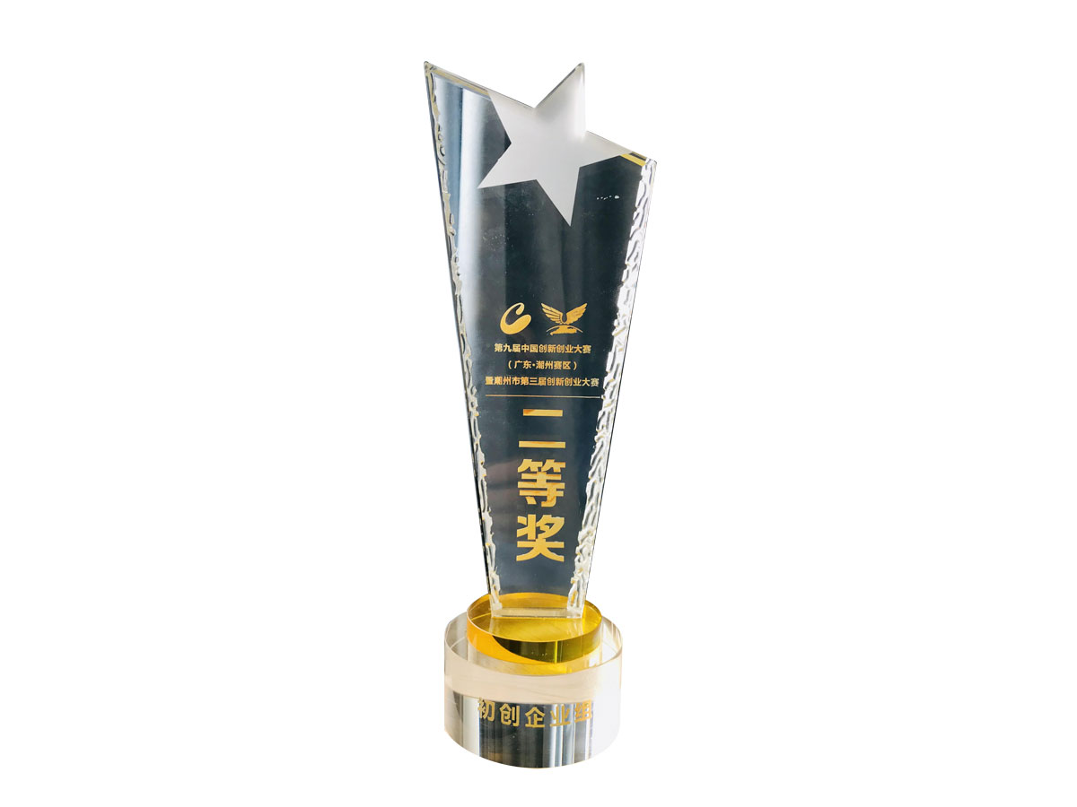 創(chuàng)新創(chuàng)業(yè)大賽二等獎(jiǎng)